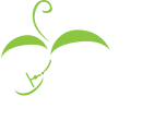 Seed Technologies Logo Seed Technologies Logo